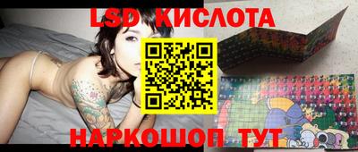 прущие крисы Кингисепп