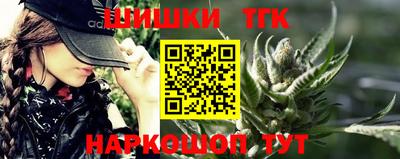 прущие крисы Кингисепп