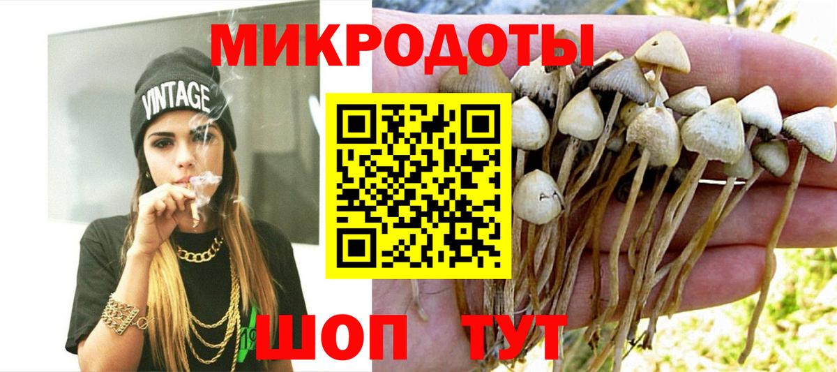 Галлюциногенные грибы Cubensis Красный Сулин
